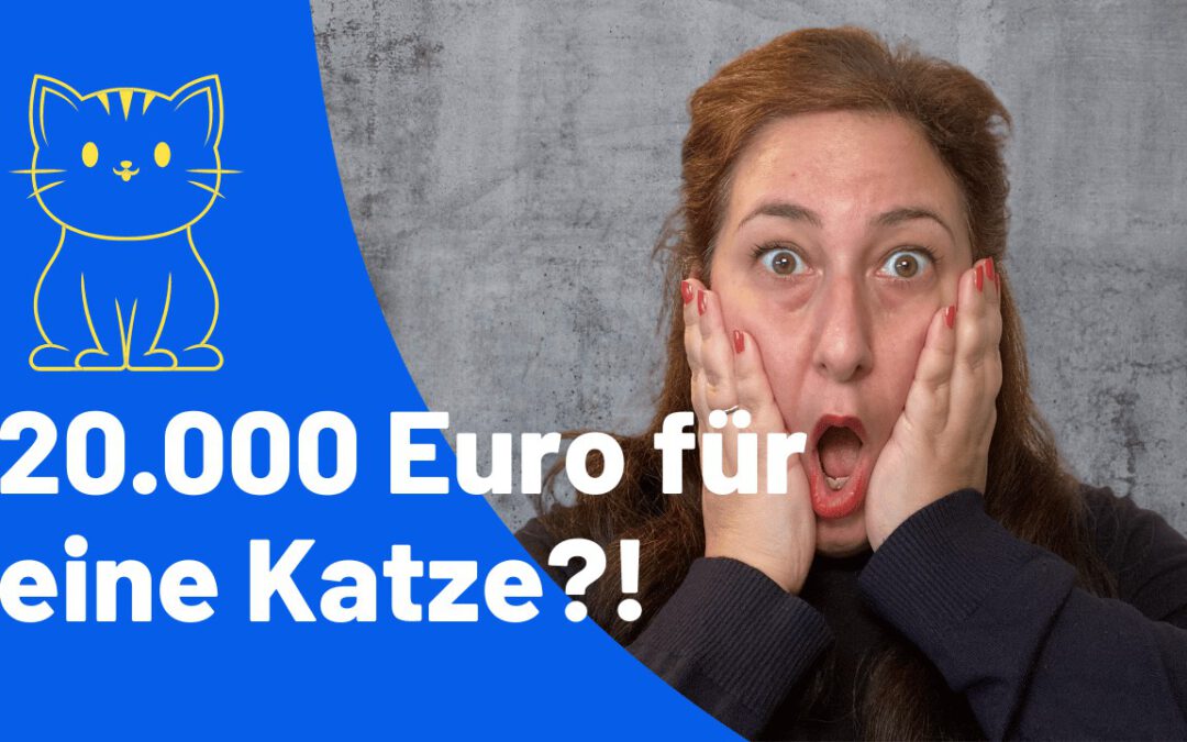 🐱💸 20.000 Euro für eine Katze?! Die wahren Kosten hinter dem Schnurren