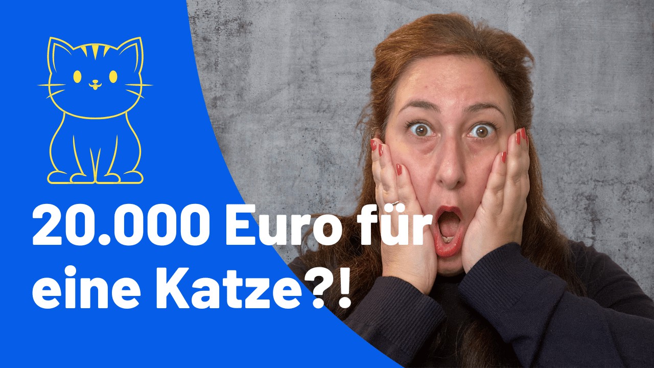 🐱💸 20.000 Euro für eine Katze?! Die wahren Kosten hinter dem Schnurren